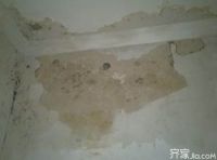 外面下大雨里面下小雨  墙面漏水怎么办