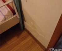 外面下大雨里面下小雨  墙面漏水怎么办