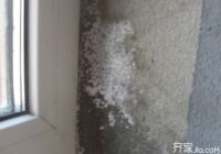 技术交流 告诉你墙面返碱怎么办