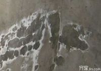 技术交流 告诉你墙面返碱怎么办