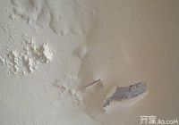 墙面受潮怎么办    10大妙招来帮忙