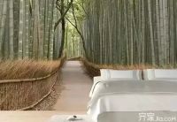 3d背景墙多少钱一平米 2015最新3d背景墙装修效果图赏析