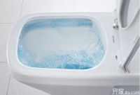 直冲式vs虹吸式  马桶哪种冲水方式更强？原创