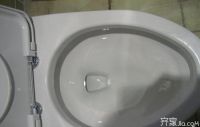 直冲式vs虹吸式  马桶哪种冲水方式更强？原创
