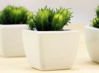 怎样去除室内异味 8种技巧除异味