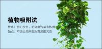如何去除房间甲醛 去除房间甲醛注意事项