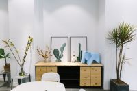 发财树摆对地方才会发财！富人都是这么摆放的，赶紧学习一下！