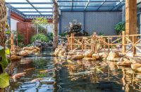 来开封必住的民宿，没有房间也得来看看