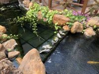 来开封必住的民宿，没有房间也得来看看