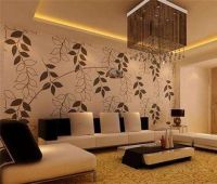 海藻泥和硅藻泥的区别 硅藻泥颜色怎么搭配