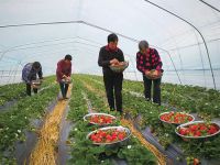 只搞养殖可以注册家庭农场吗  家庭农场如何申请
