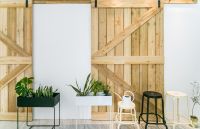 发财树放对位置，富贵滚滚财运亨通！可以光宗耀祖了！