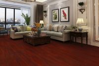 扬子地板年度特大喜讯 官宣！