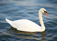 Tao中小户型沙发特辑Vol.1 为客厅披一件驼色大衣