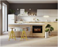 中国蒸箱行业高峰论坛开幕，凯度蒸烤箱联合京东推出重磅新品