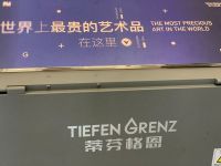 健康呼吸好空气 蒂芬格恩携手上海设计周打造艺术与科技盛宴