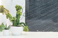 家里养几枝富贵竹好？原来寓意差别太多，千万不能养错了