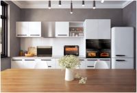 中国蒸箱行业高峰论坛圆满落幕，凯度蒸烤箱斩获3项大奖成业内焦点