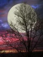 慕歌寝具陪你度过每一个中秋!