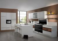 后起发力 名气集成灶引领潮流生活