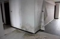 精装房到底值不值得买?