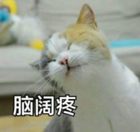 国庆结婚季,日立中央空调:余生请多指教!