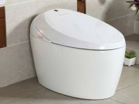 维卫智能马桶评价如何  选购智能马桶的四大误区