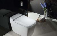 维卫智能马桶评价如何  选购智能马桶的四大误区