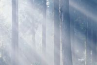 新品解读 |致 · 雅STYLE  用有限的生命感受更多美好