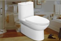 中国较好的卫浴有哪些 卫浴马桶分类有哪些