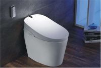 中国较好的卫浴有哪些 卫浴马桶分类有哪些