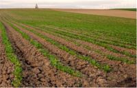 2019土地流转补偿标准  农村土地流转价格