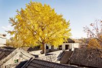 自如2020新产品发布：智能租住生活全面来袭