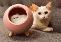 居家创意摆件，点缀一个生动丰富的桌面