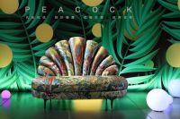 帝标家居雷驰:突破传统模式,致力未来发展