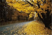 BAXI八喜云科技智能控制器，让您随时掌控家的温度