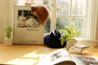 养绿萝犹如养个醋坛子，多吃醋竟长得更好，叶片绿的发亮