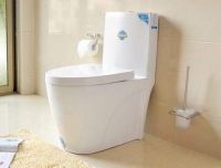 马桶多少钱一个一般的 安装马桶的技巧有哪些