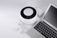 南方的冬天居然惊现蚊子？