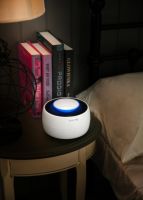 南方的冬天居然惊现蚊子？