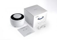 南方的冬天居然惊现蚊子？