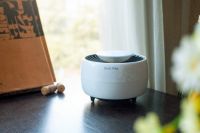 南方的冬天居然惊现蚊子？