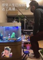 这个一动都不能动的春节，还可以去客厅厨房走走