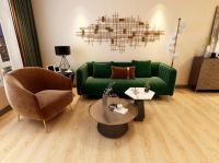 将健康进行到底!圣象新一代纳米光触媒抗菌地板即将空降全球