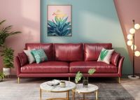 红+绿=丑？这些大红大绿的家具设计靓爆了