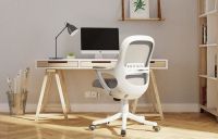 办公椅不好用？不如试试这几款人体工学椅！