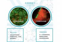曼迪BioCote 抗菌技术内墙漆走进居家生活