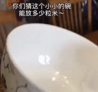 宅在家快憋疯了吗?请收下这份自救指南