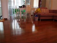 康辉地板跟圣象哪个好 圣象地板安装注意事项