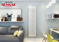 森拉特牵手新疆金茂集团合作 畅享丝路主题乐园